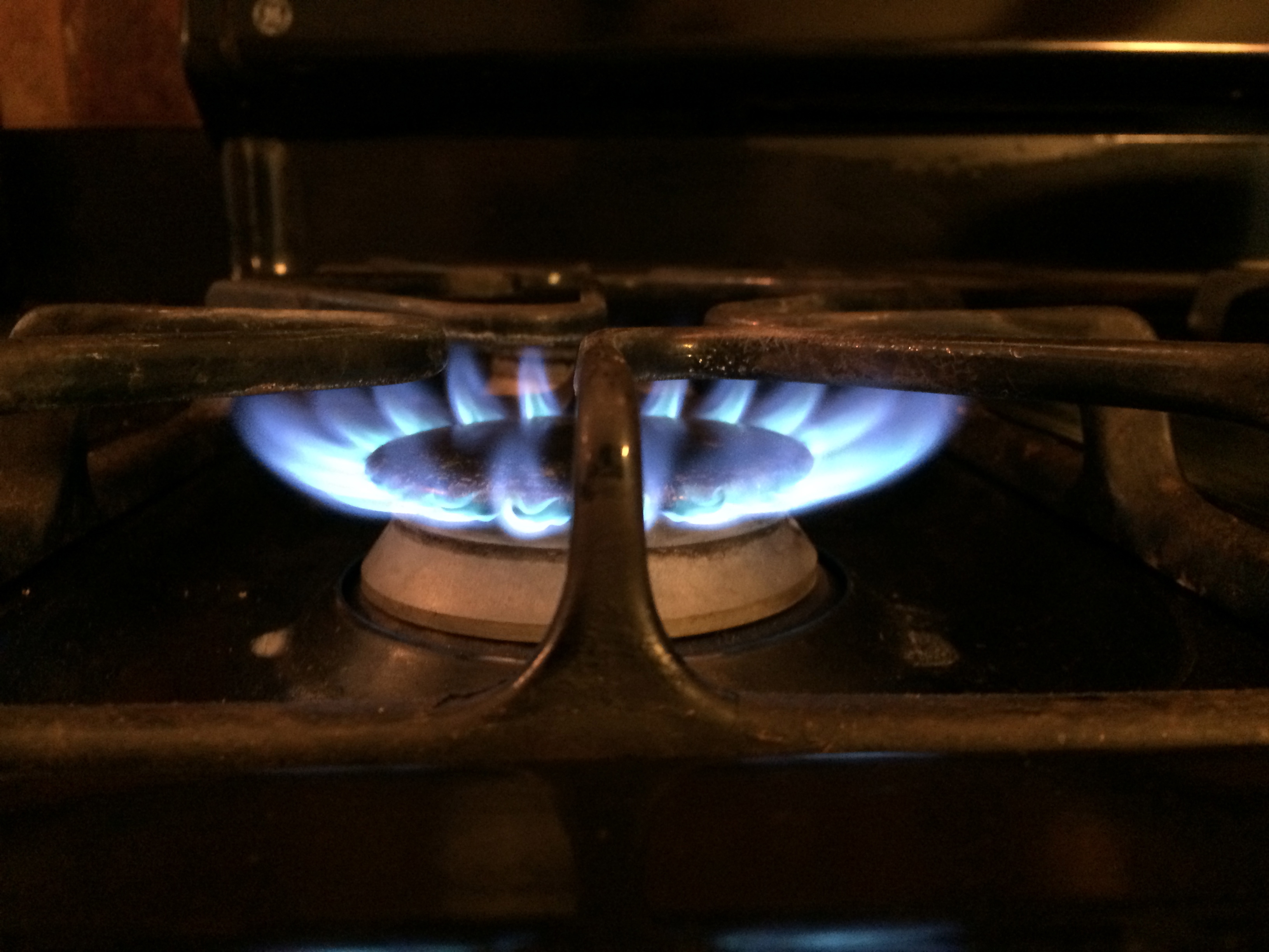 THE SOCIETAL IMPORTANCE OF COOKS AND COOKING