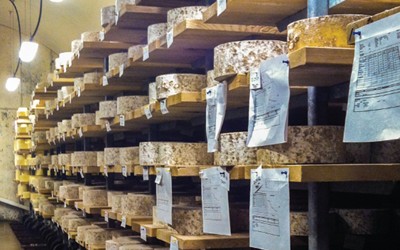 WE SHOULD ALL HELP TO PROTECT ARTISAN FOOD PROCESSES