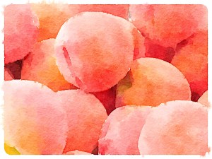 peaches.jpg