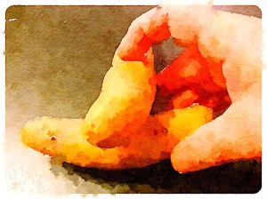 Painted in Waterlogue